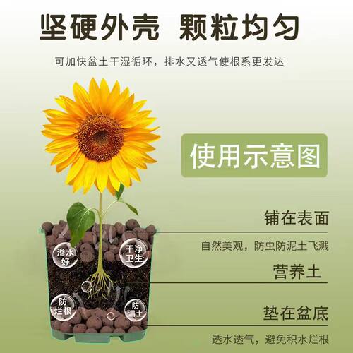 陶粒花用花盆垫底绿植铺面石多肉