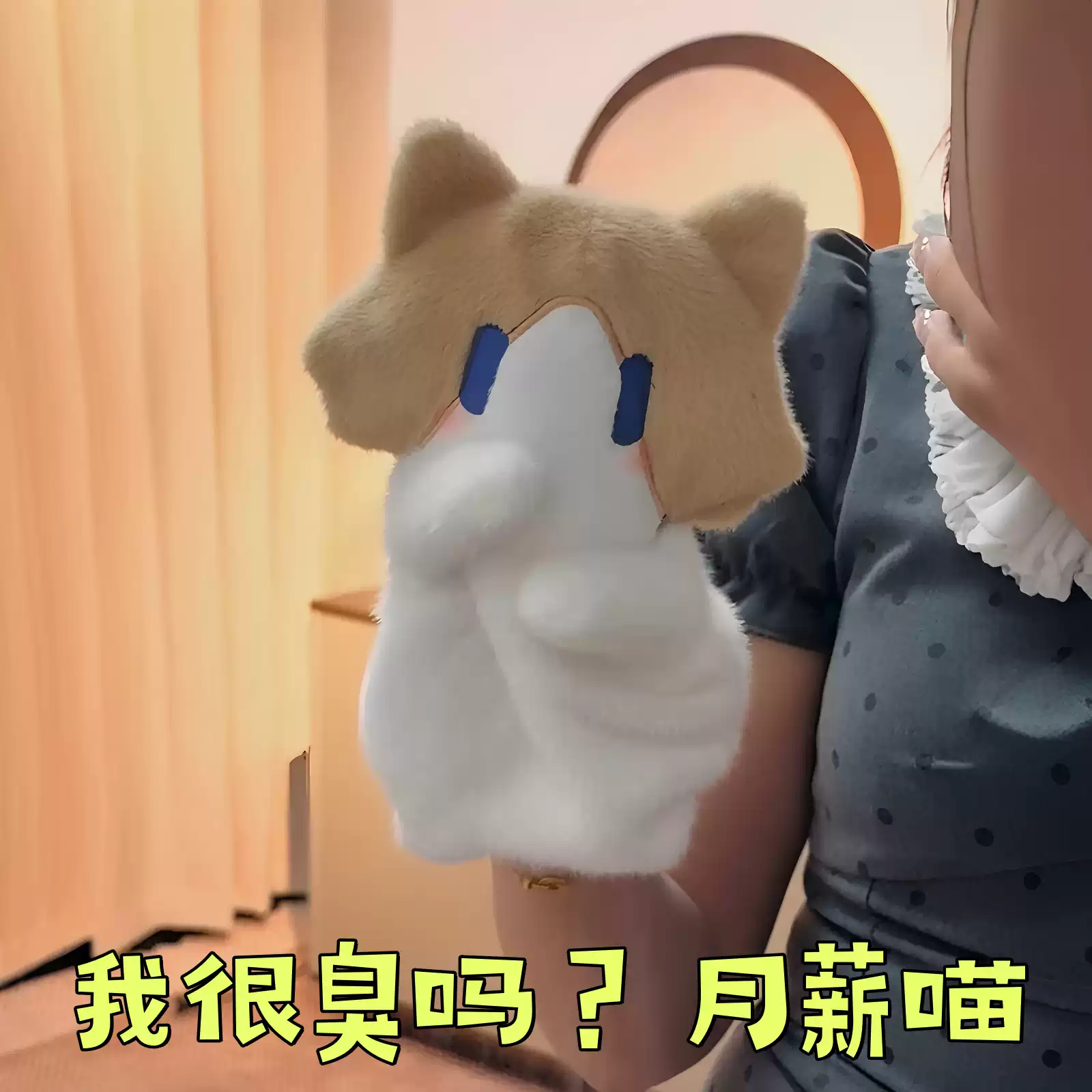 月薪喵手偶可爱小猫咪玩偶我很臭