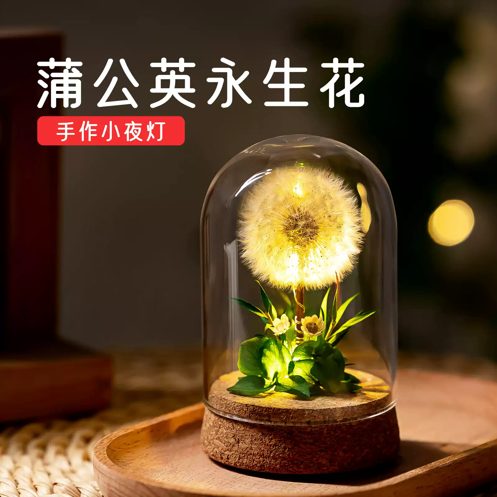 蒲公英永生花干花束小夜灯摆件送