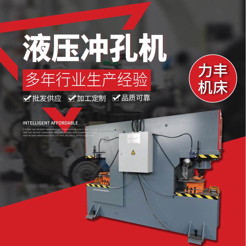 不锈钢液压冲孔机多功能角钢槽钢冲孔剪切机液压打孔机