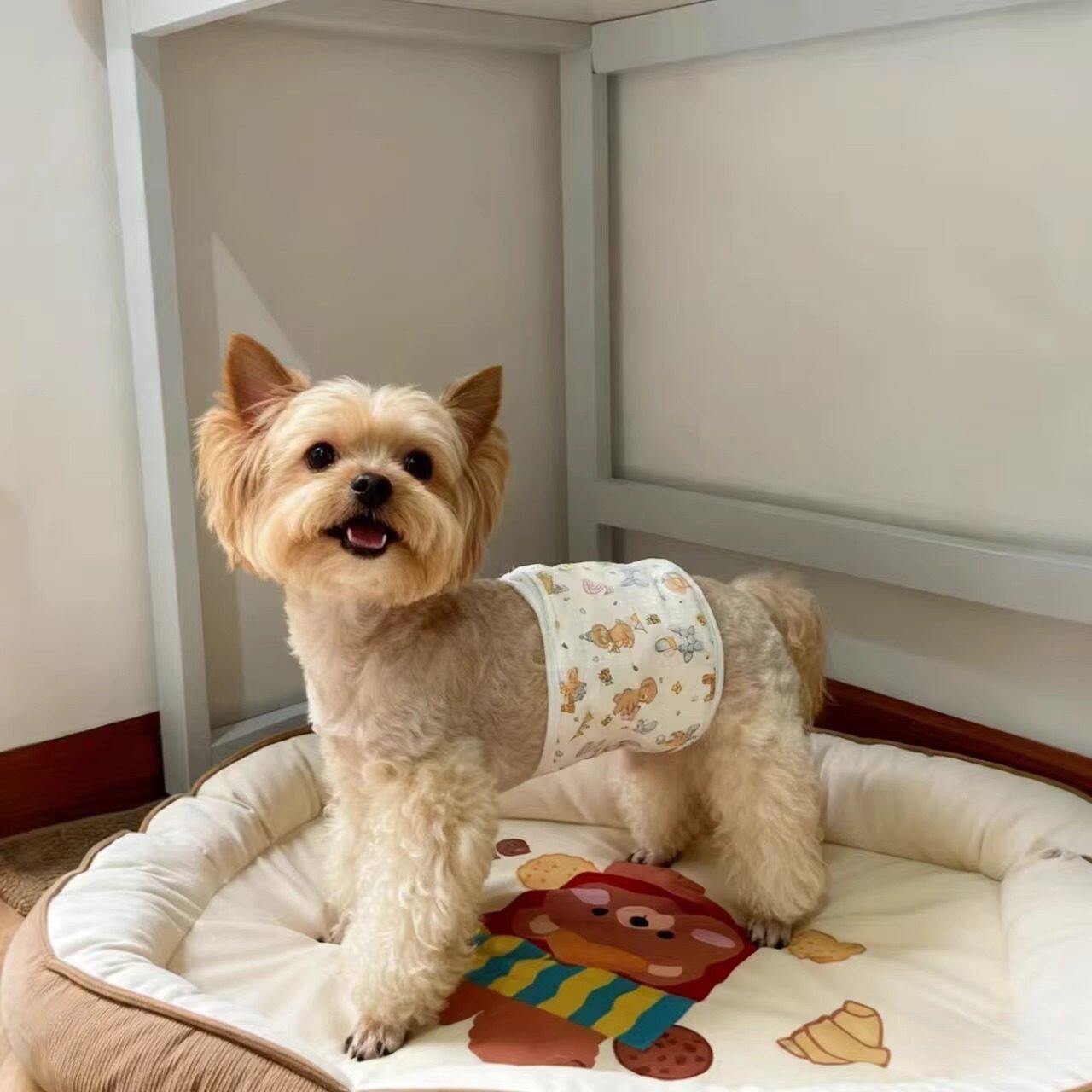 狗狗衣服秋冬纯棉护肚围换季免着凉防拉肚子中大型犬肚兜猫狗通用