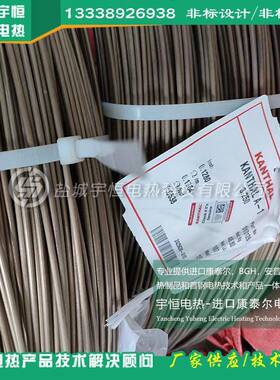 导半体陶瓷烧结1250进口K发A℃NTHAL电阻丝727热丝