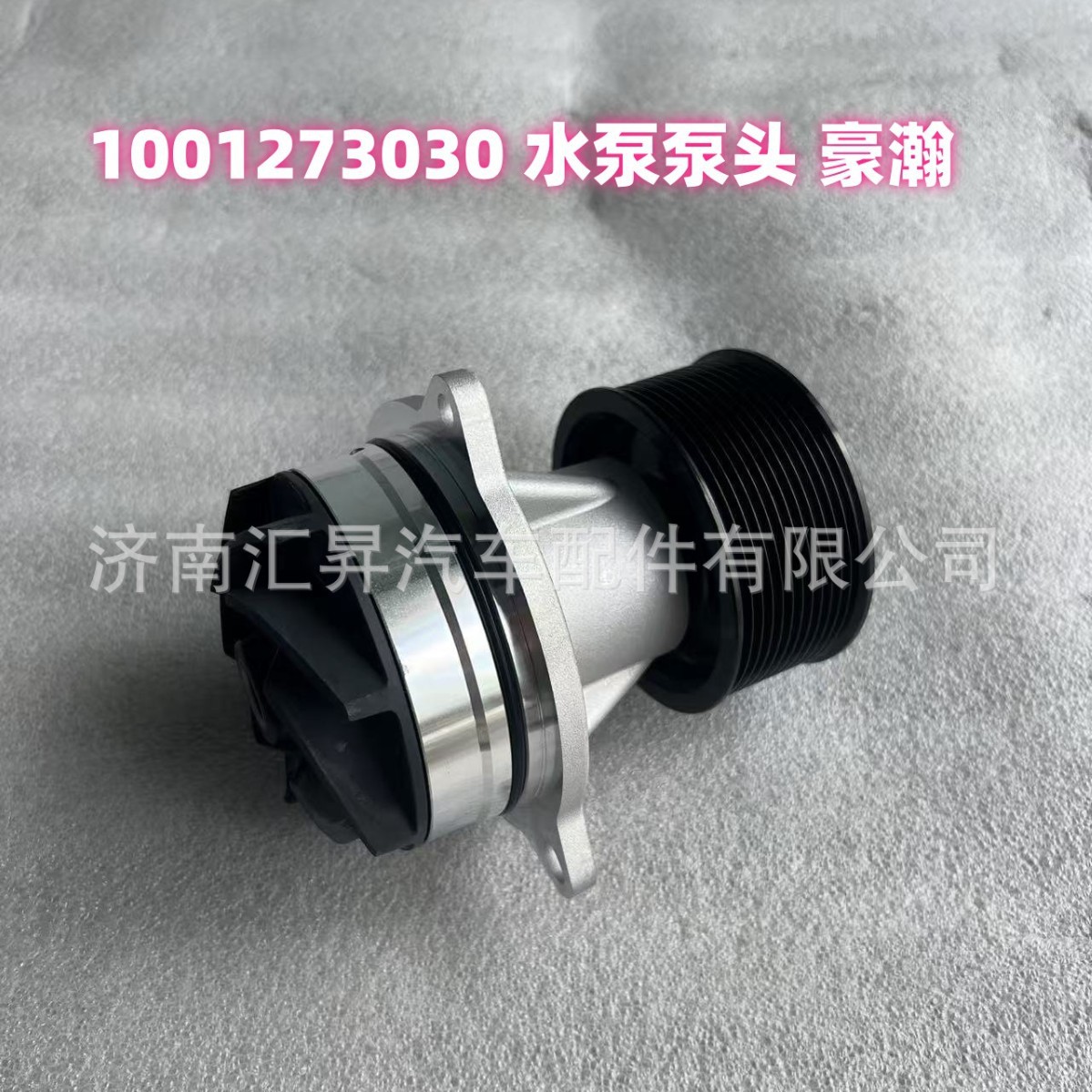 1001273030 水泵泵头 豪瀚