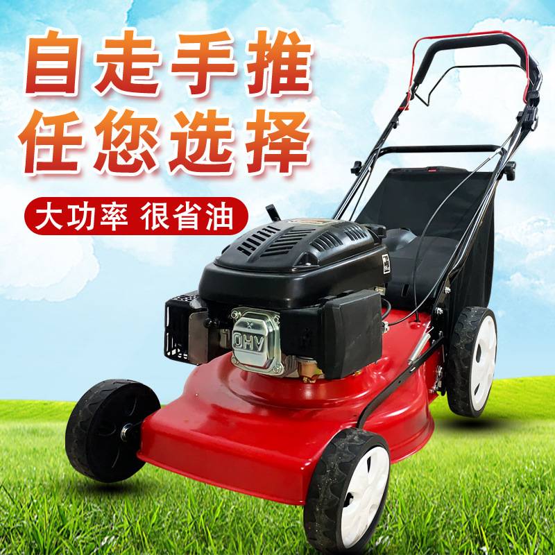小型汽油花园手推式割草机 20寸家庭用草坪机 园林用草坪修剪机