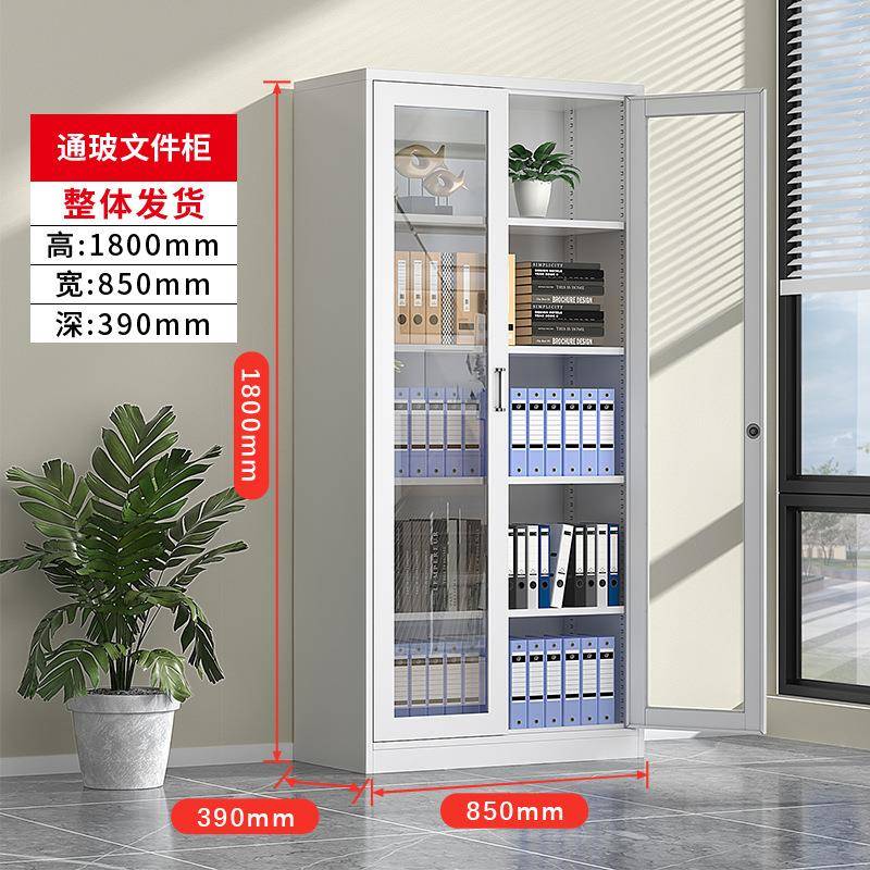 南铁凭皮文济件柜办公室柜档案资料多层财务证柜带锁矮家F77SHT7M