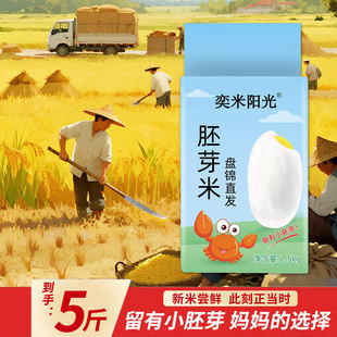 胚芽米5斤东北大米真空包装 盘锦大米蟹田米 500g长粒香大米1斤装