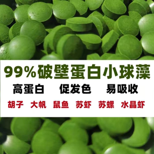 小球藻鱼食开口粮高蛋白胡子大帆异形鱼底栖鱼饲料水晶虾直升机