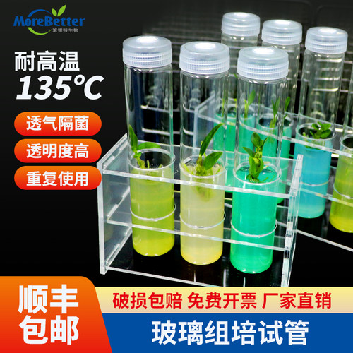 茉钡特生物 玻璃组培试管 高硼硅耐高温高压灭菌带透气盖初代培养