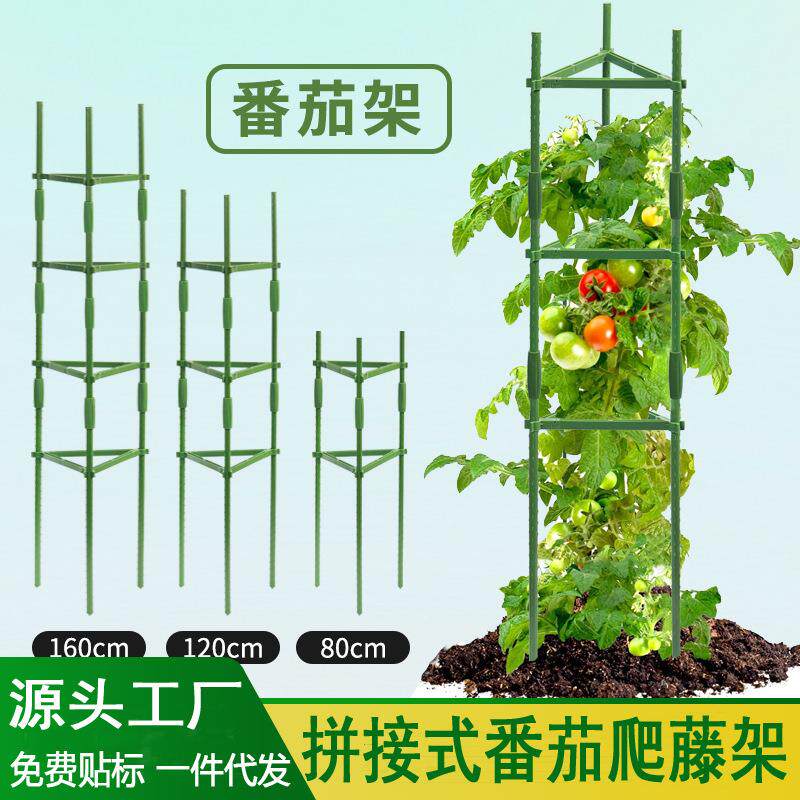 跨境番茄支架三角架豆角黄瓜架子植物爬藤架花架番茄笼拼接支撑杆