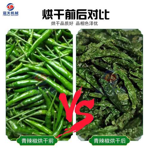 LT-QLJ大型青辣椒烘干机 网椒带式笼灯甜椒干燥设 青椒菜椒烘干生