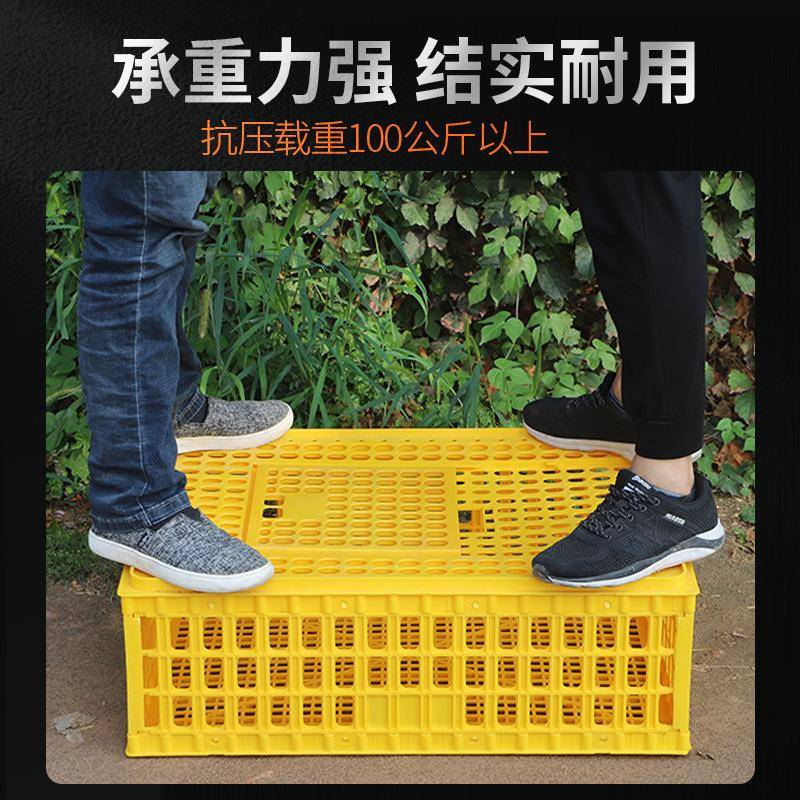 加厚加大鸡运周输笼笼料家OYP塑禽转箱筐鸡鸭鹅鸽子笼家用兔笼养