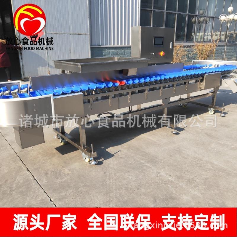 蛎子分选称重机分 牡蛎白条鸡分选IKM机 选秤拣 自动重量分海机