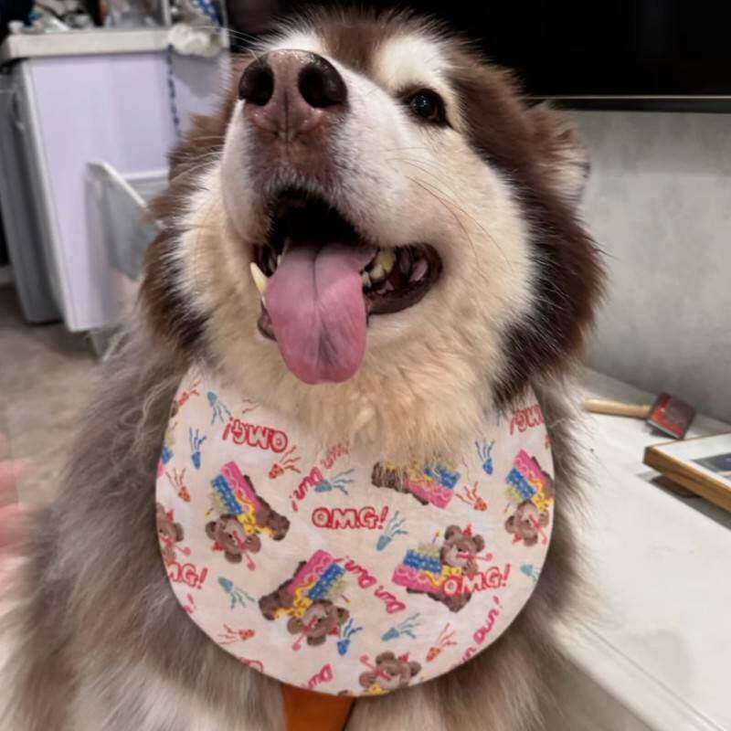 口水巾狗狗大型犬阿拉斯加萨摩耶围兜防脏三层加厚防水可立口水兜