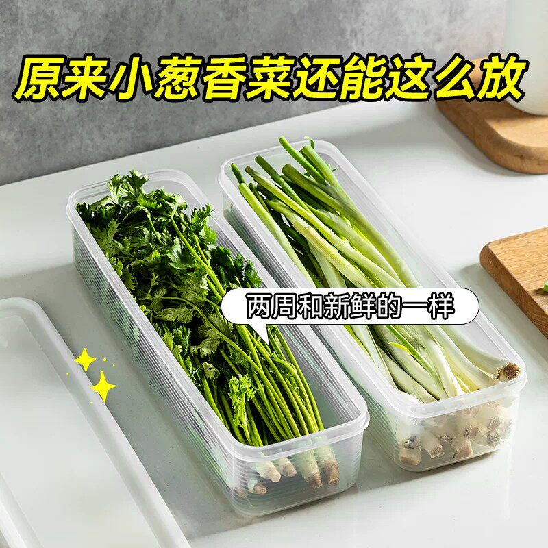 保鲜盒大葱香菜芫荽整根姜蒜挂面条鸡蛋保鲜盒大葱香菜冰箱适用