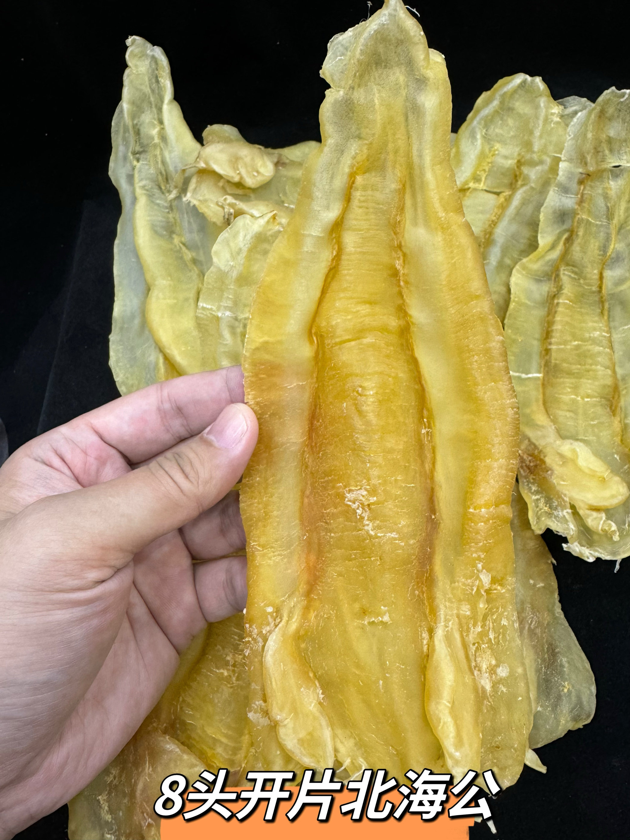 老蜡货厚肉北海公胶5头7头8头10头12头巴西苏里兰尖尾公花胶鱼胶