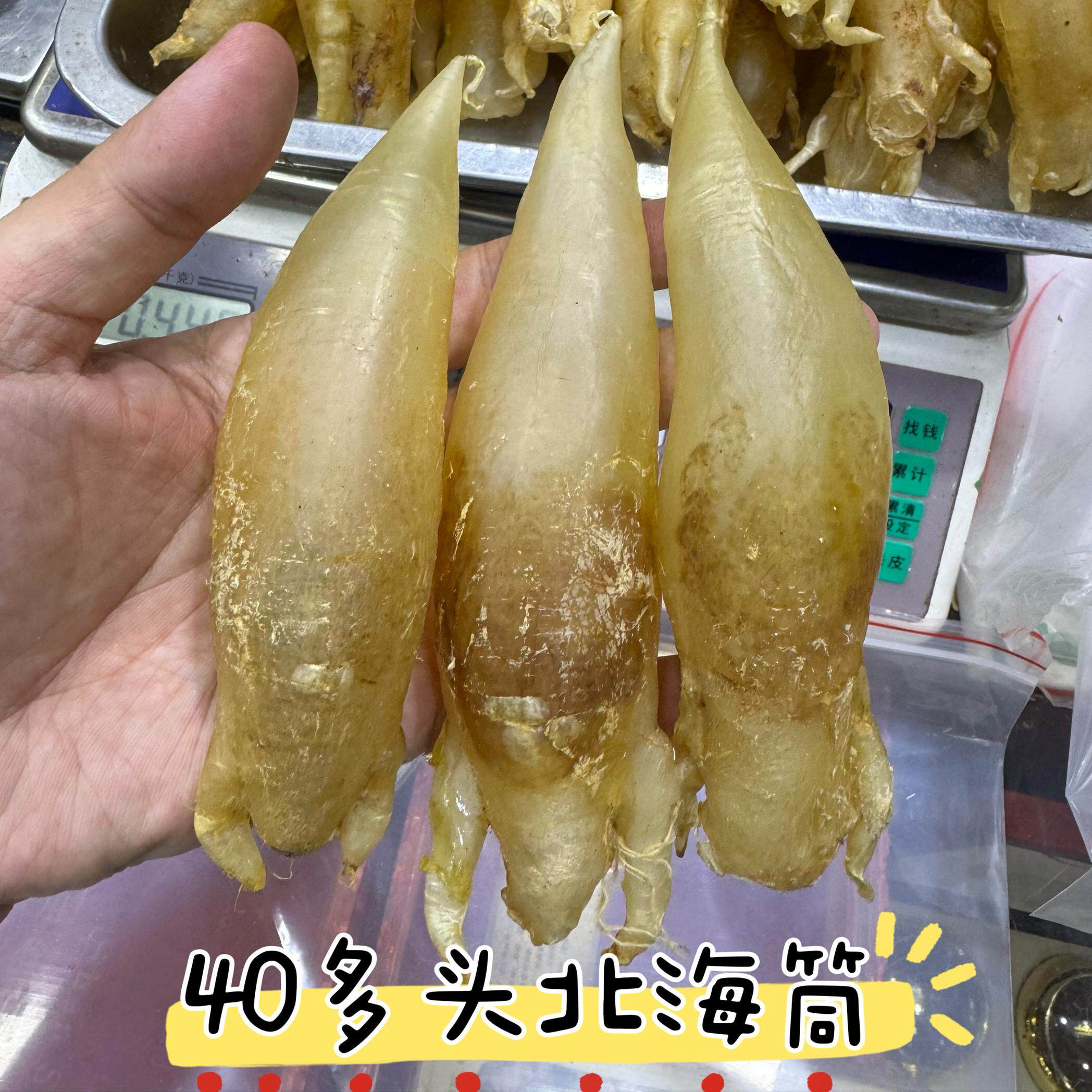 漂亮北海胶筒40头50头公筒130头摆设花胶鱼胶怀孕月子滋补品厚肉
