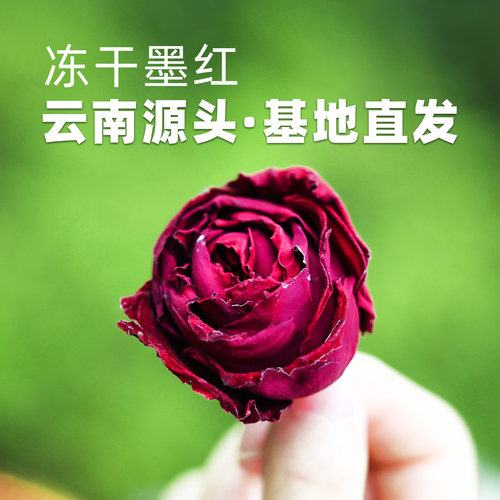 精品冻干墨红，花香馥郁