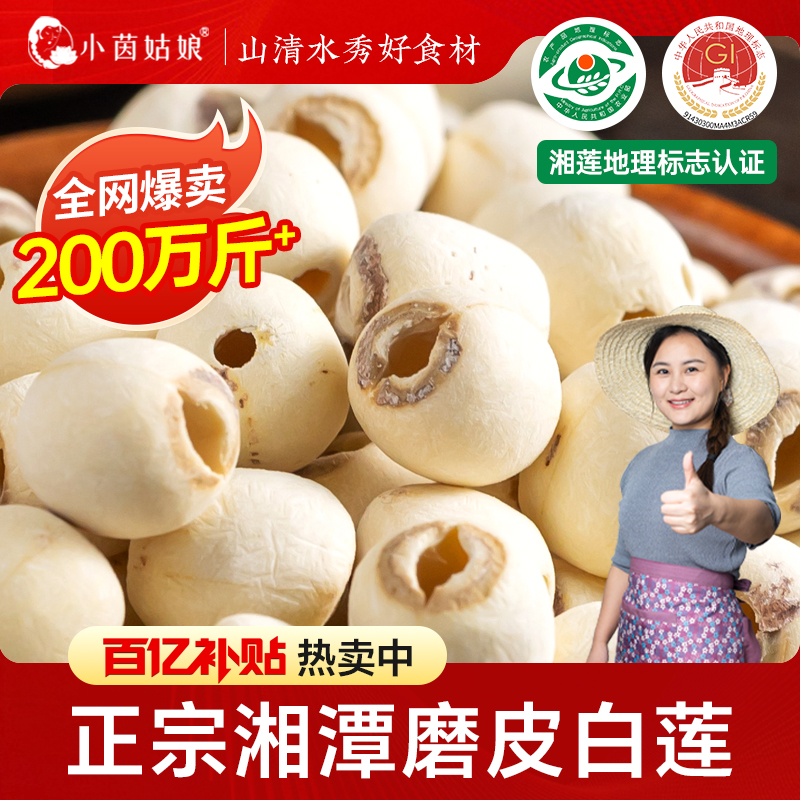 小茵姑娘莲子干货湘潭去芯白莲500g无硫磨皮带芯莲子百合银耳湘莲