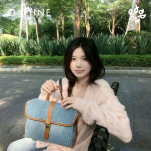 百搭通勤腋下包单肩包女 复古休闲单肩斜挎包时尚 Daphne 2026新款