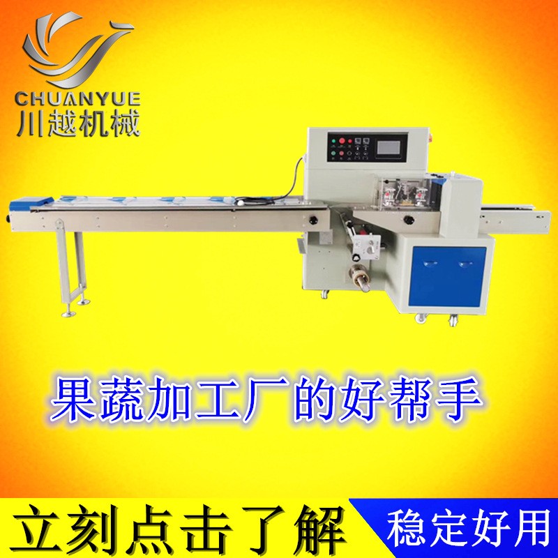 蔬菜包装机CY600 伺服果蔬自动打包机定制 性能稳定操作简易