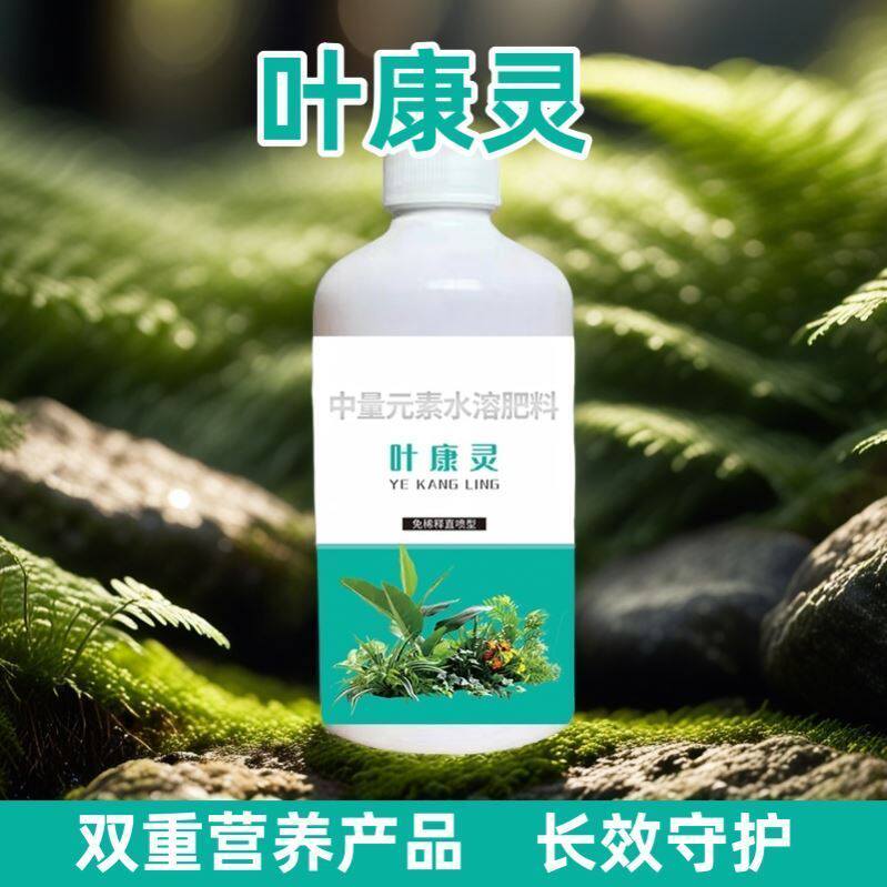 叶康灵月季花病虫害常用药叶子发黄黑斑园艺通用免稀释营养液