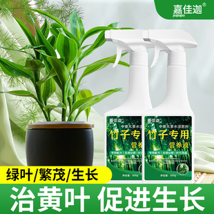 竹子专用营养液治叶子发黄转运竹节节高文昌竹水竹水培植物生根