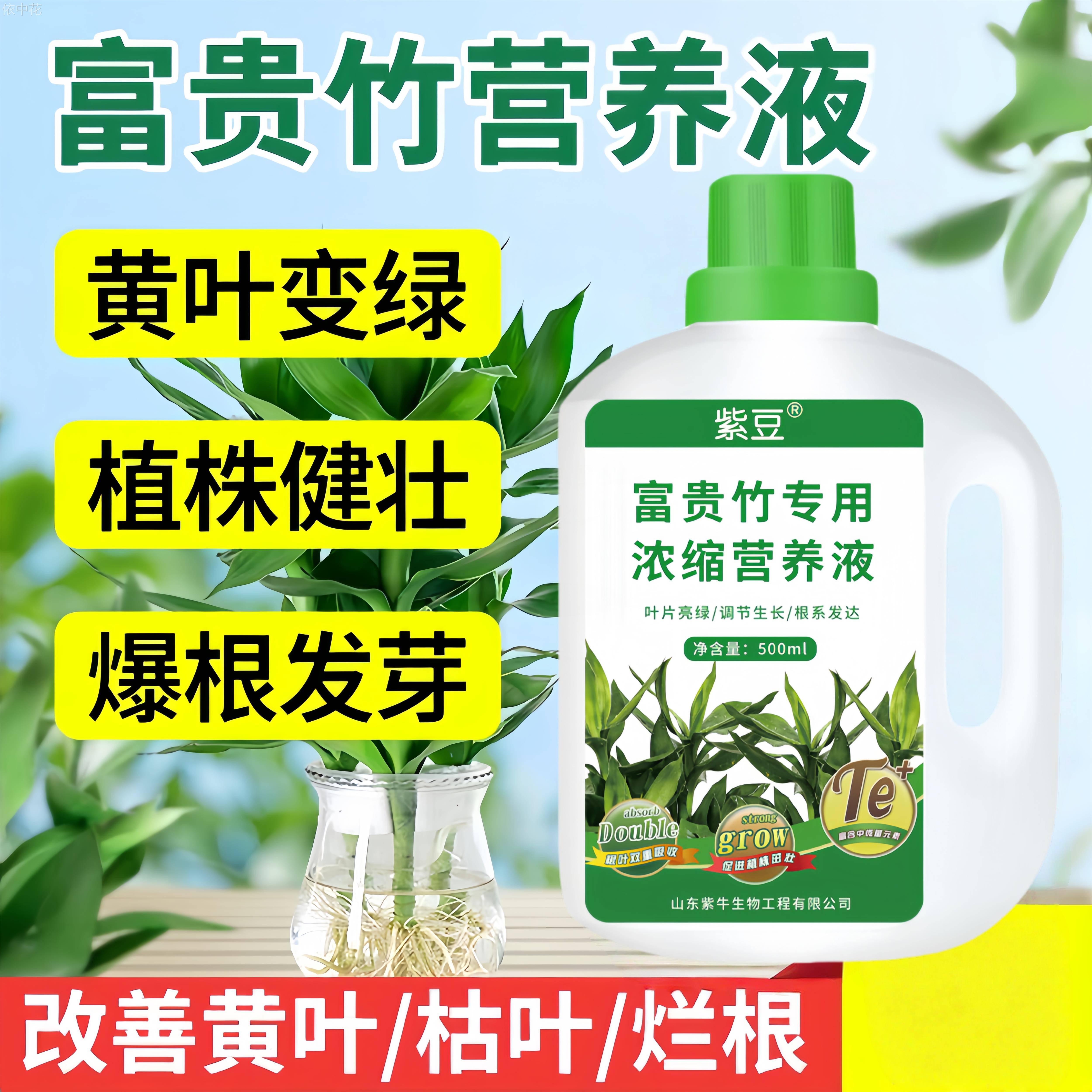 富贵竹营养液通用型壮苗绿植家用盆栽荒野变绿专用肥专治生根