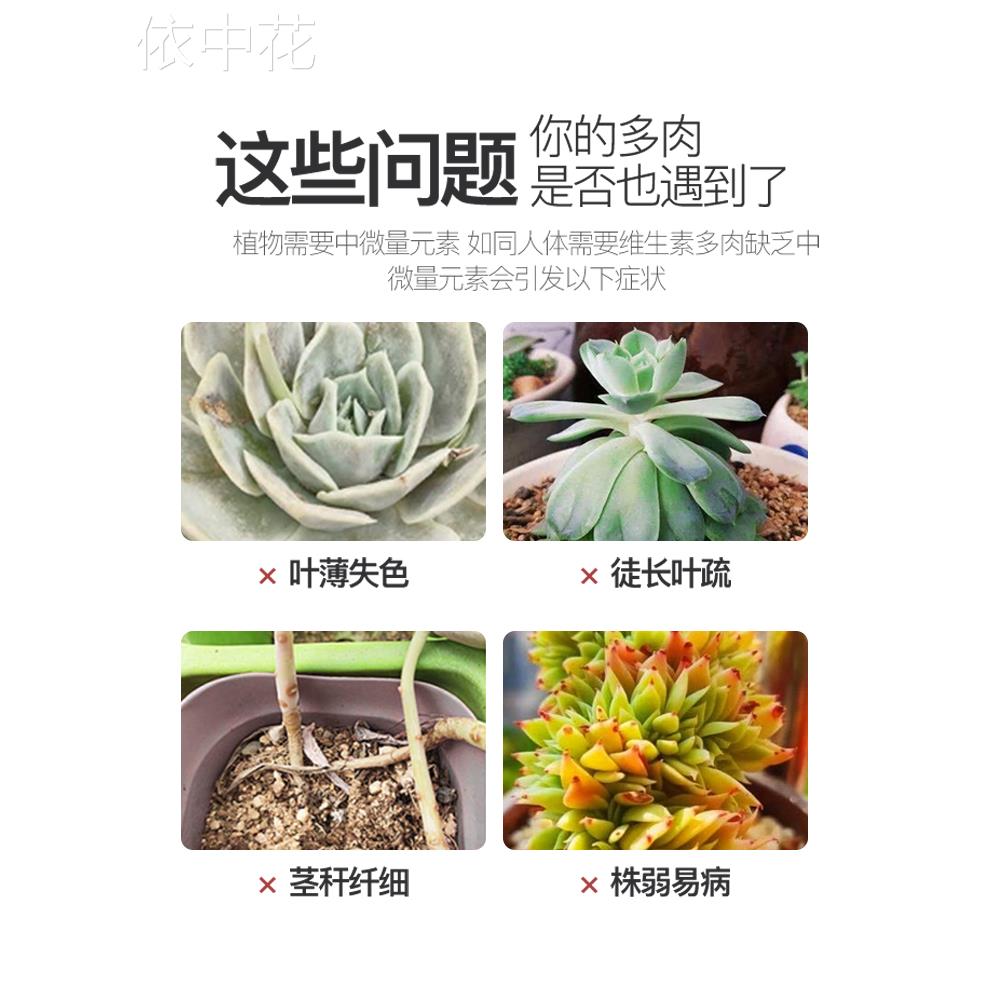 矮胖素多肉专用肥料爆芽素生根增肥增色分裂直喷型营养液优芽素