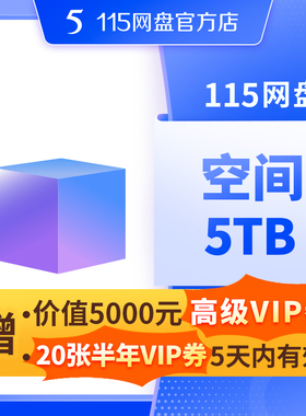 115网盘 5TB空间扩容 超值容量 长期有效 不包含VIP服务 自动充值