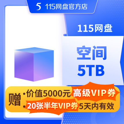115网盘 5TB空间扩容 超值容量 长期有效 不包含VIP服务 自动充值