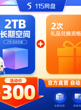 115网盘 2TB空间扩容  长期有效 不包含VIP服务 自动到账