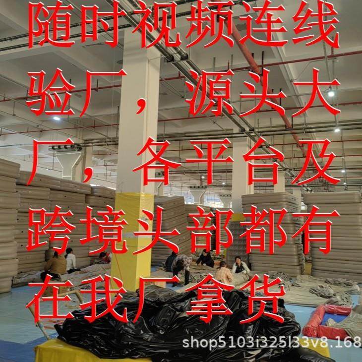 跨境自动充气床垫折叠沙发pvc植绒户外露营inflatableairsofabed