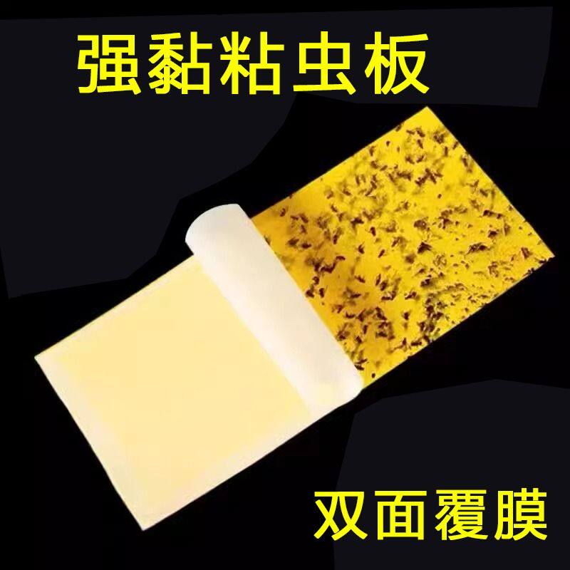黄板双面粘虫板果园大棚诱果蝇