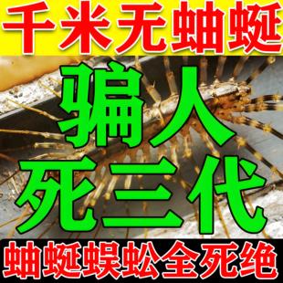 蚰蜒杀虫剂饵剂室内灭除钱串子专用药白千多足虫草鞋底草爬子神器
