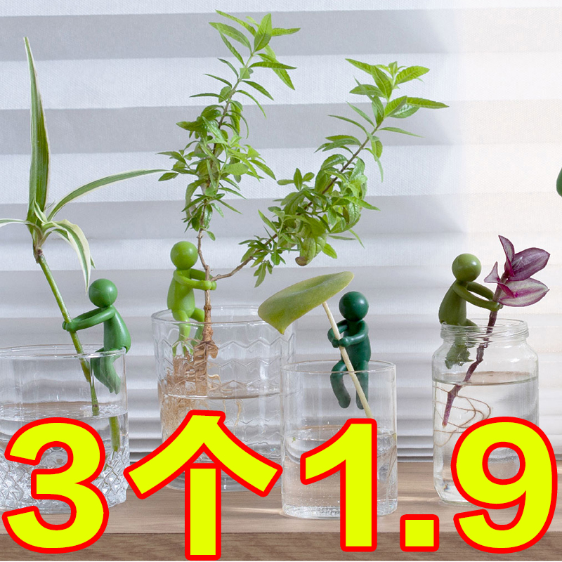 水培植物生长伴侣扶正扶枝办公桌装饰龟背竹园艺固定造型防倒伏叶