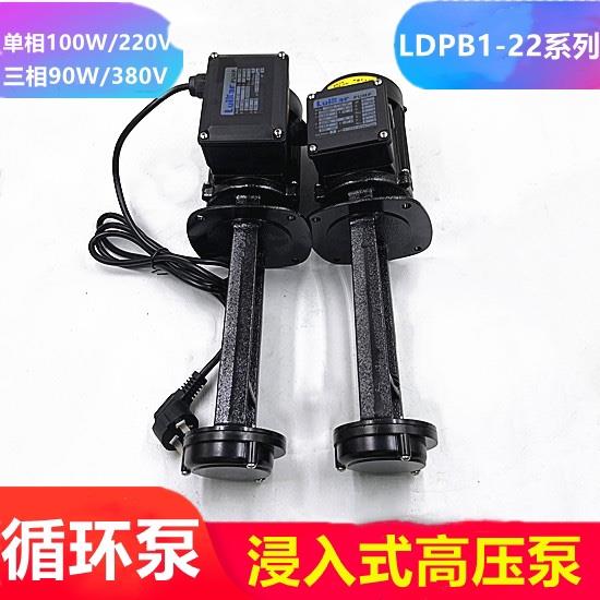 洛凯线切割水泵中走丝循环泵LDPB-1-22TP三相单相车铣睿嘉rocoi18