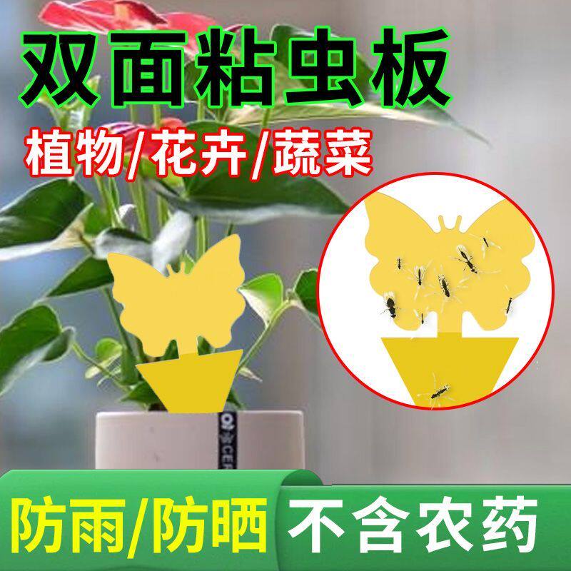 小黄板双面强力粘虫板室外家用