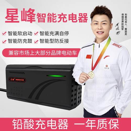 厂家直供星峰电动车充电器48V12AH48V20AH48V30AH50AH铅酸充电器