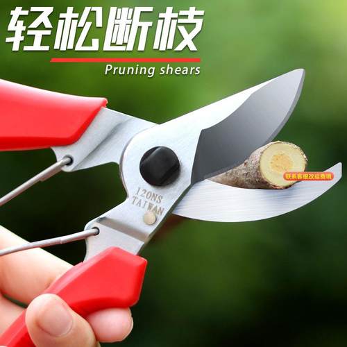不锈钢强力园林园艺修剪树枝剪家用省力修花修剪树枝花艺剪刀