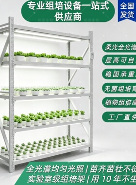 云南组培架 全光谱 LED 植物培养架 实验室育苗架可定制现货速发