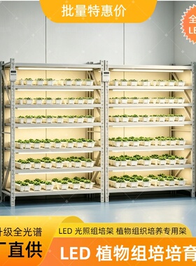 工厂 定制组培架 植物光照培养架 科研实验室植物培育专用培养架