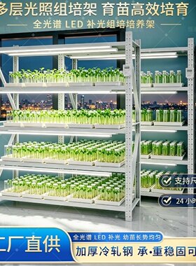 LED全光谱植物组培架 实验室光照培养架多层可调植物培养架育苗架