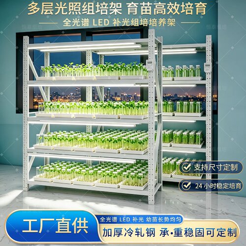 恒泰LED补光多层植物组培培育架