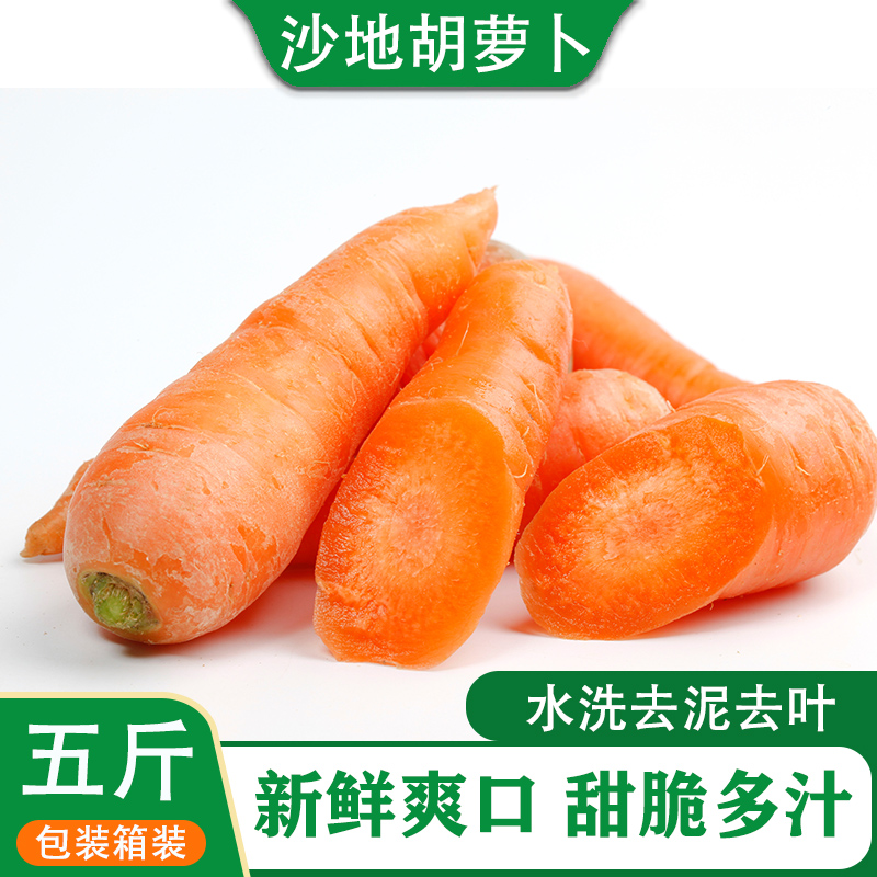 当季沙地胡萝卜大红新鲜萝卜蔬菜红/萝卜时令蔬菜源头直发5斤箱装