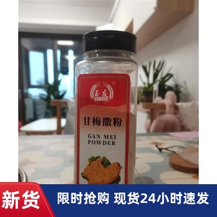 -新货中西餐调料行家甘梅粉玉友甘梅撒粉台湾甘梅粉500g梅子粉甘