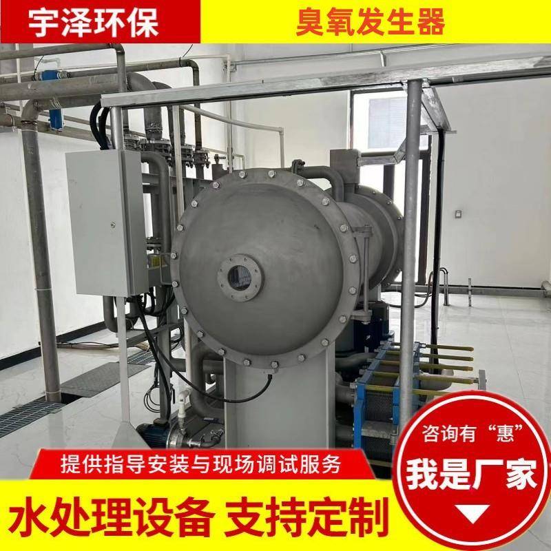 水处理臭氧发生器臭氧催化氧化装置氧气空气源大中型臭氧发生器