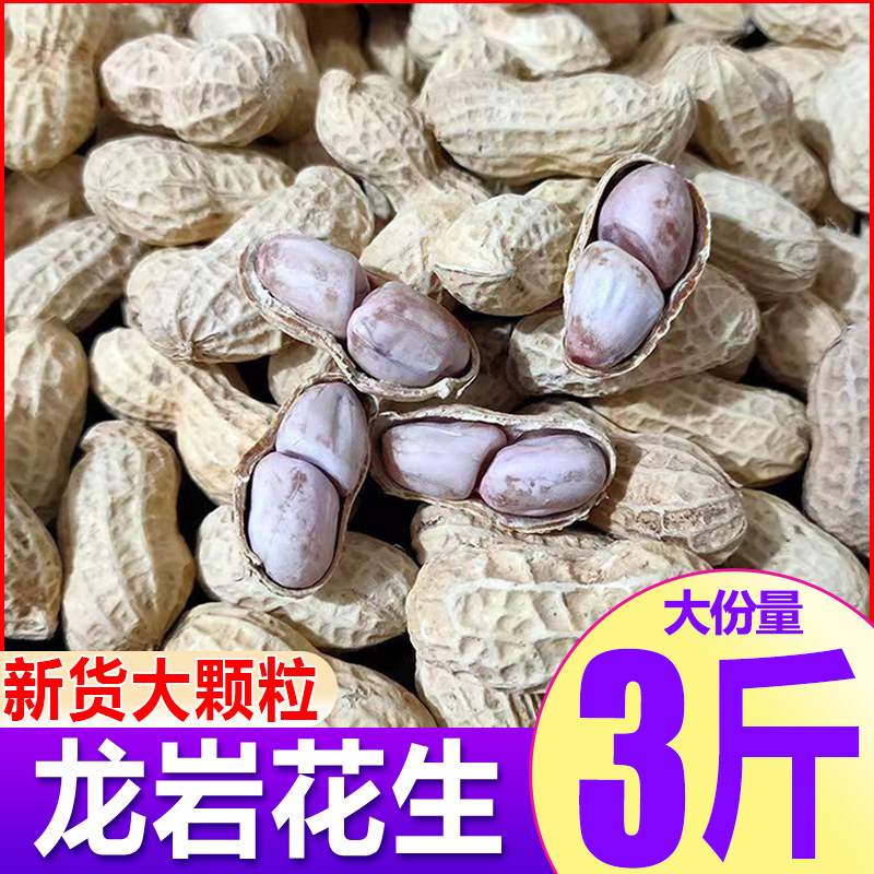 福建龙岩花生带壳蒜香咸干五香原味盐水白晒水煮花生米熟炒货零食