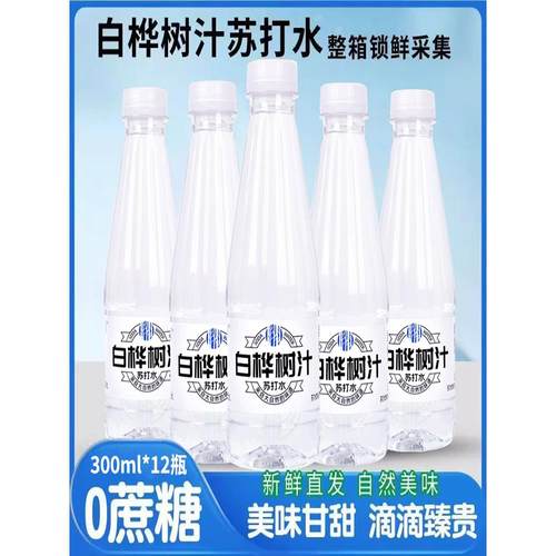 【300ML*12瓶】白桦树汁苏打水植物饮料实惠0脂0卡便携家庭装速发