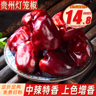 贵州灯笼辣椒500克灯笼椒海椒中辣特香火锅麻辣烫香锅香料调料
