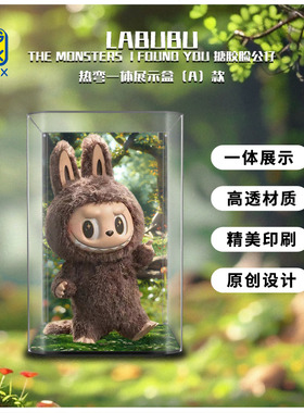 KGBOXPOPMART泡泡玛特labubu i found you搪胶molly亚克力展示盒